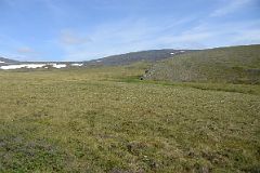 22A Field Next To The Dempster Highway In Yukon From Between The Yukon Northwest Territories Border And Arctic Circle.jpg